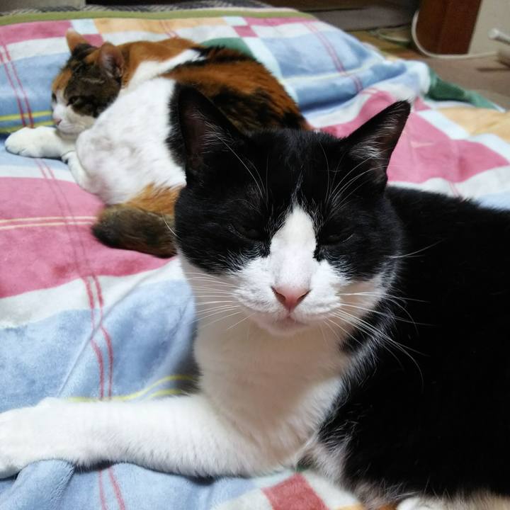 66cf7f74 e551 45a9 a92b a01f473dc6a4 1525871441146