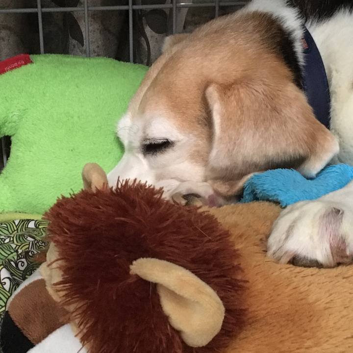 66cf8d08 e57b 463a 9a4d b2e5227e95c5 1571208866772