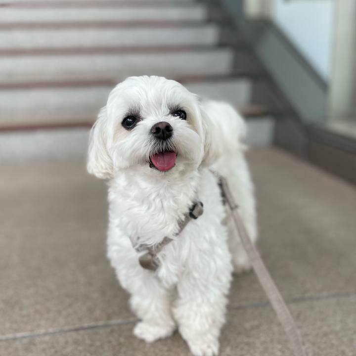 66cf9da4 7a29 4b76 9285 25e71d950204 1776865231069