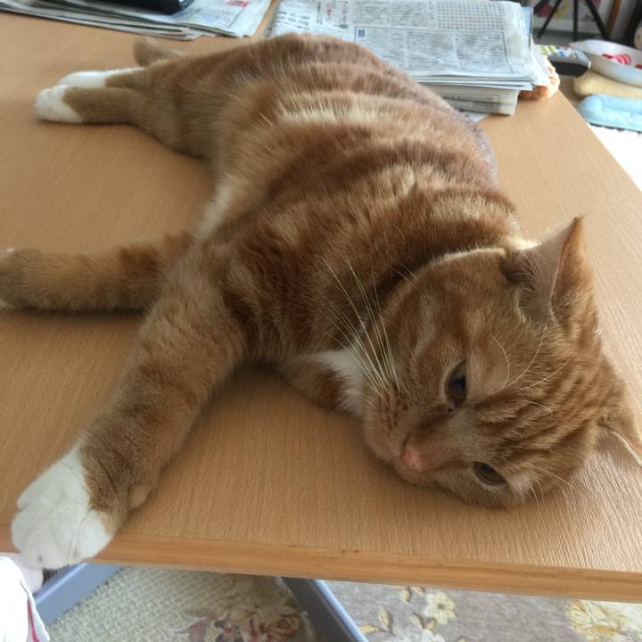 66cfebbc 6f8c 443a a8ec b6c11762e810 1534888423078