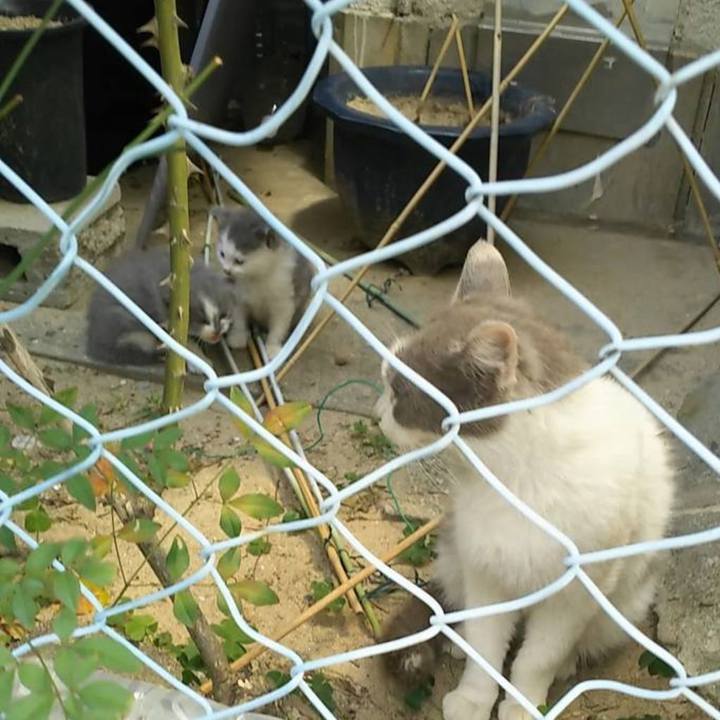 66d00a62 0d0f 43db 8316 747049a3d615 1652909215362