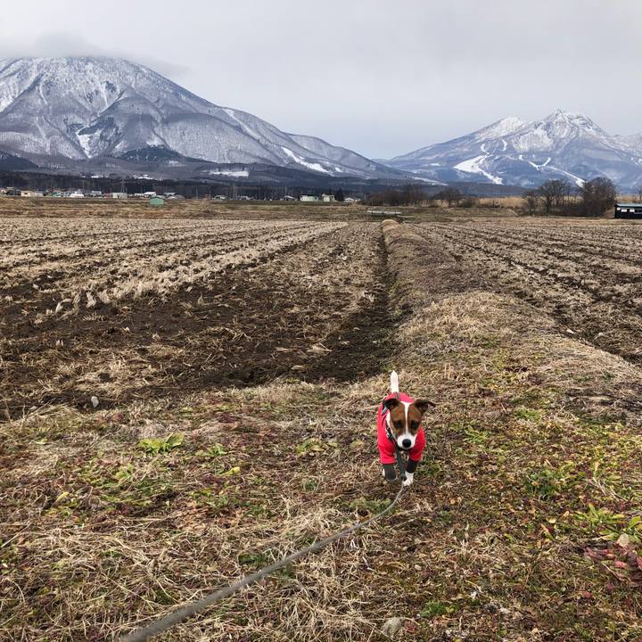 66d011d2 fc57 4e8c 92b4 018f6ae81aa7 1583289959328