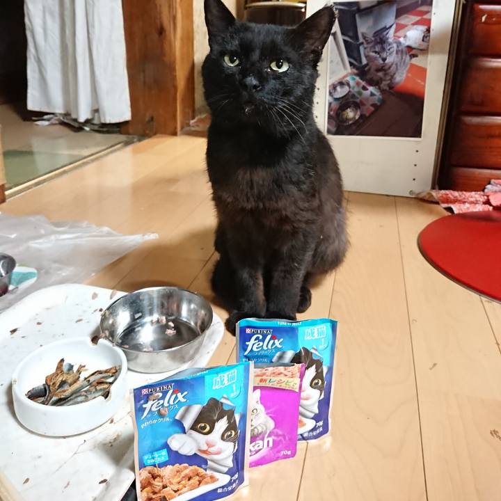 66d02f22 75d5 400c 906f 51aa860711bd 1625140016469