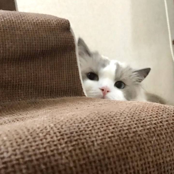 66d03dd2 7ec2 4fdb 8208 a14c2f0dcc96 1627418478493