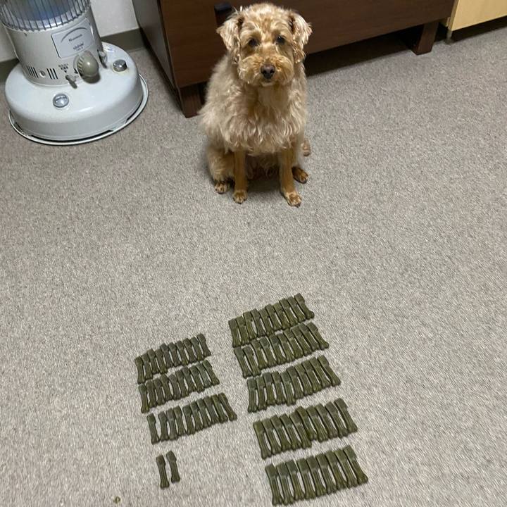 66d048c7 8506 4a5e 9714 1a6c3dff221f 1622976235139