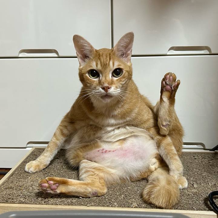 66d057c9 3452 4cbf 852e a11f3e4039cb 1673218944011