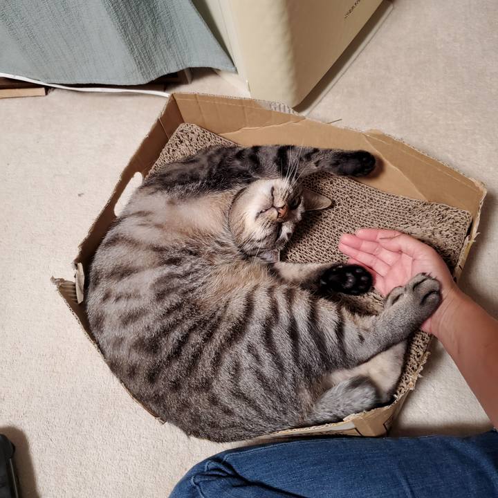 66d0afd7 4a94 4a8b 8f4f 91a52d0a5060 1724232303633