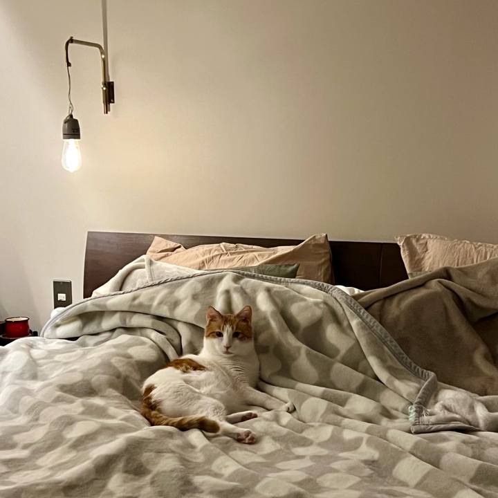 66d0b783 e2de 4df6 8e6e 41ed5e9748f0 1761735626041