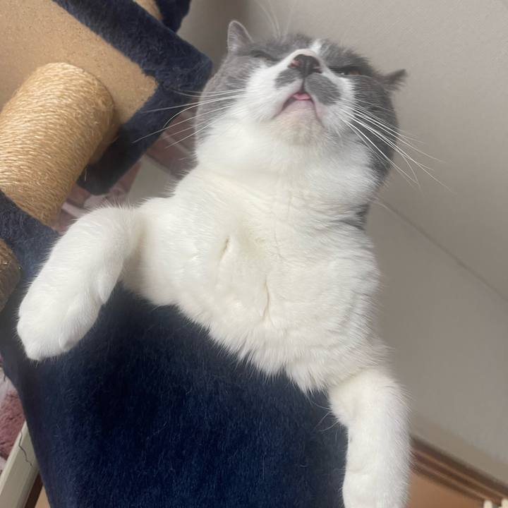 66d0c42e 2108 421b 862e 878d9c5f1c75 1725150679541