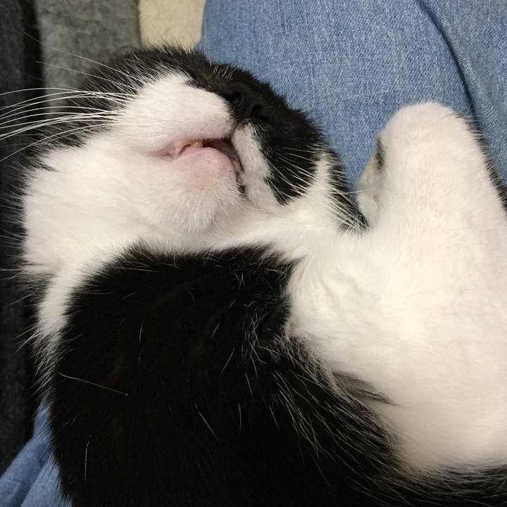 66d0cddf 6d10 4251 8fb6 1f649f36881b 1543913514655