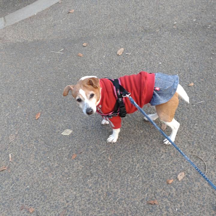 66d0f40b 56b0 41f8 8663 12e96132215e 1771199061018