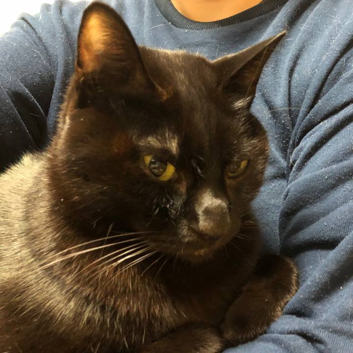 66d10d87 4438 4c7c ac65 da02eb135a9f 1734212887297