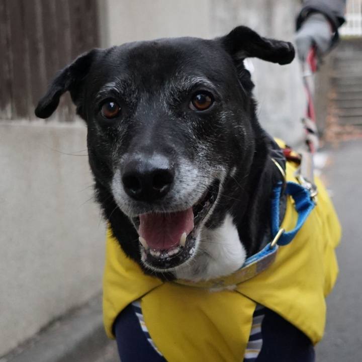 66d14b6d d3cf 4490 ac95 4d9c9f4ef969 1766189708573