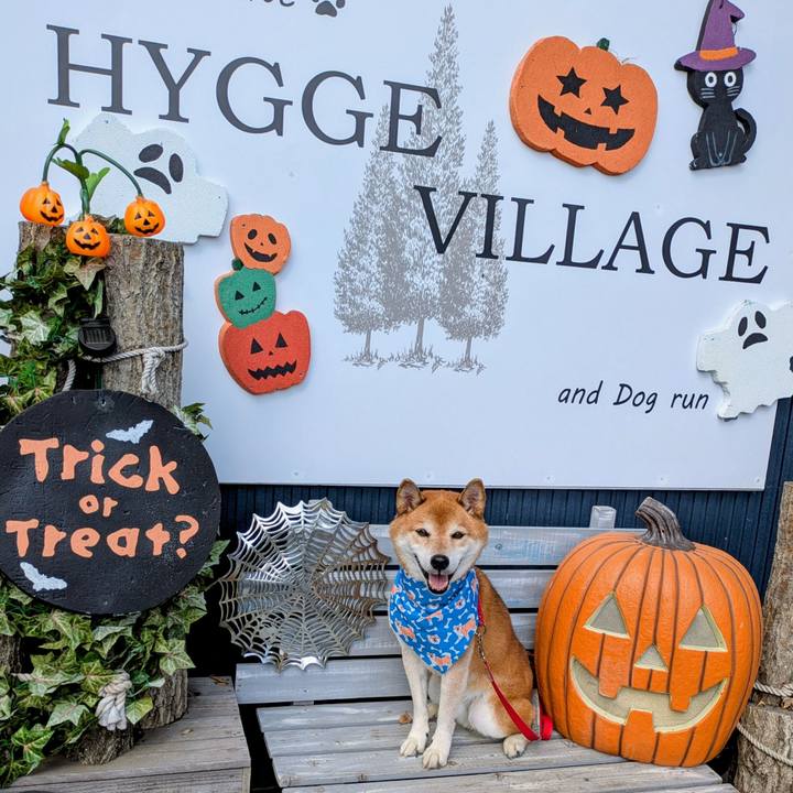 66d15cc9 99e4 4358 8a09 b71f72591669 1760332336357