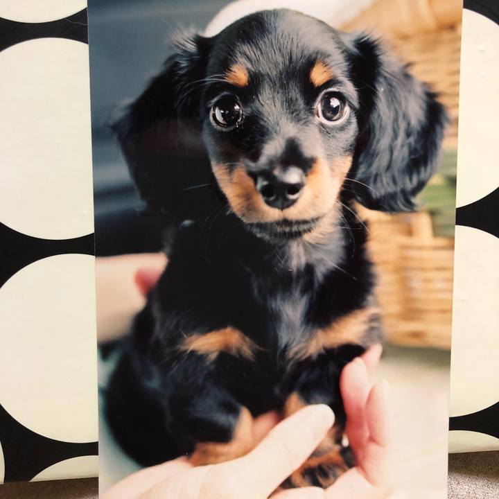 66d1778d b603 4983 8227 25748b3cfa4d 1525519617829