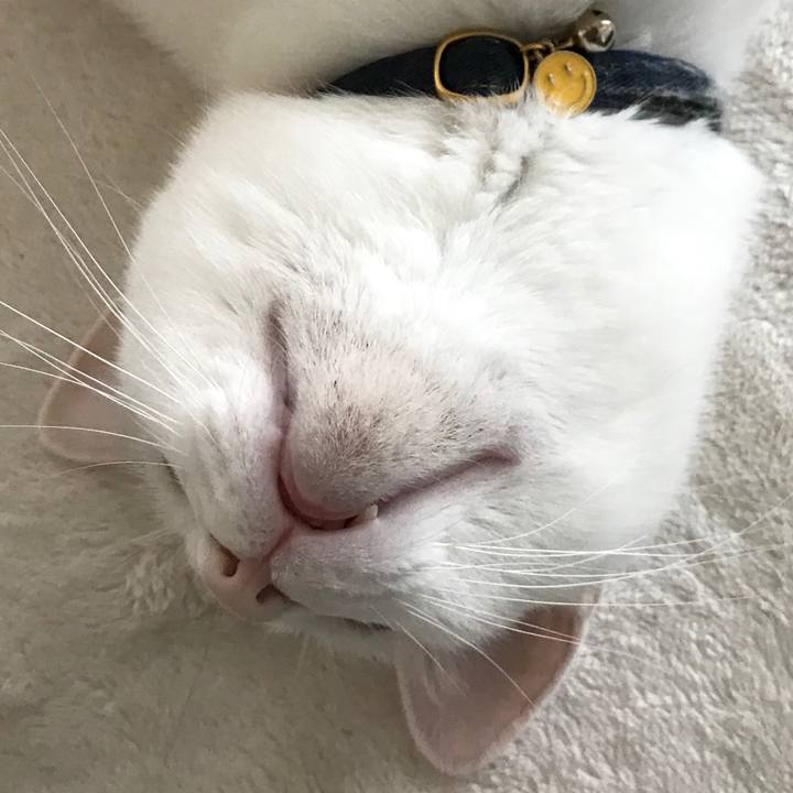 66d1d2b1 4235 485c 868f b27293e6d9ef 1578627657085