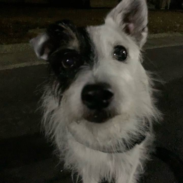 66d1e1c5 4c1b 4bcc 9d7a 65dc729d8121 1754746209866