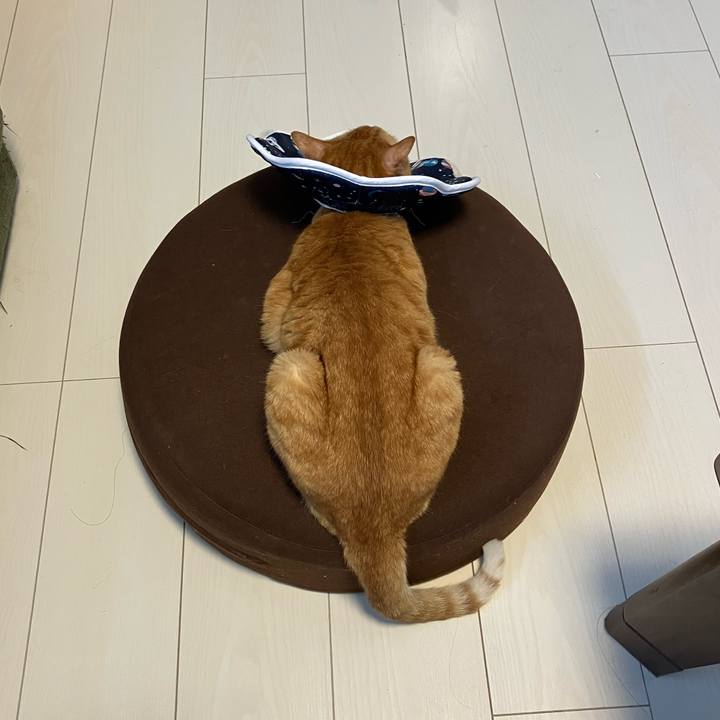 66d1ec33 34a1 4b6b 80ca 6bf2fa3711dd 1759314272996