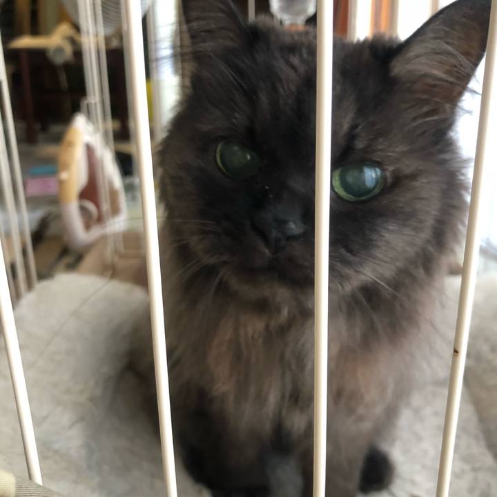 66d23e65 199d 4797 a793 8071021bdca0 1539035166132