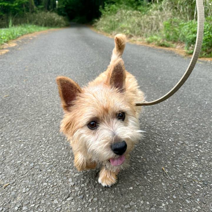 66d24db7 ddf7 4529 8183 5b229a17a1fb 1713710983637