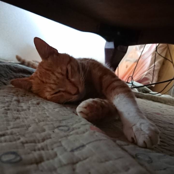 66d24dce 4637 4a86 8b8d 8dceebb84bc1 1564204796904