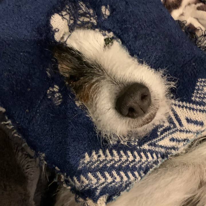 66d263f3 7e1e 4d55 bcd0 75ef647c6b0e 1679923528848