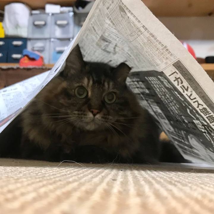 66d266f9 d78f 44fc 99cf c93596ecae95 1667743002010