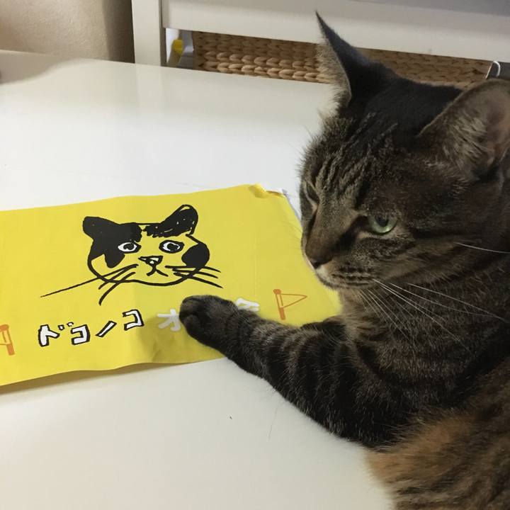 66d27ac9 e18d 401b ab4e 15c4a2bdf02d 1509708620238