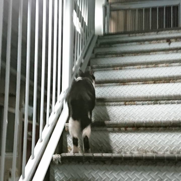 66d2b9a3 d4df 43f7 a7f0 9bb3fa754e89 1660918228047