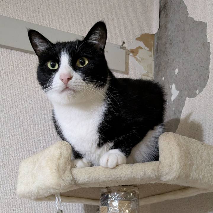 66d33e5c 34ed 4899 8aa9 80cdc0a3da39 1757308224968