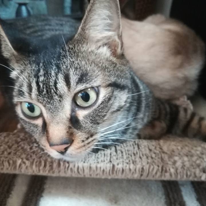 66d3af5e fd13 43d5 92b4 71ed3445f9b1 1531720518990