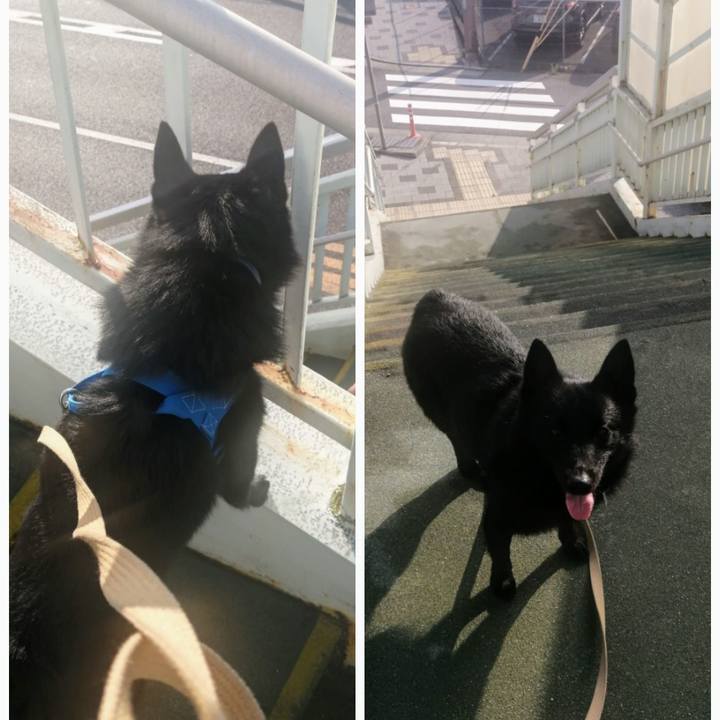 66d3b193 ede7 441b b8ac 5c7abc89f6d3 1632355397946