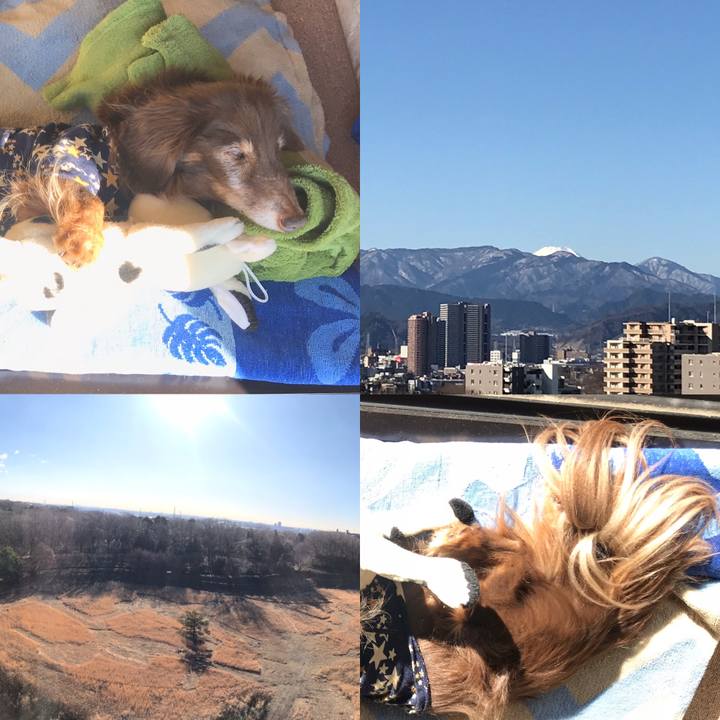 66d3b1bc daff 48d9 a6f1 857349be0a3b 1579567877112