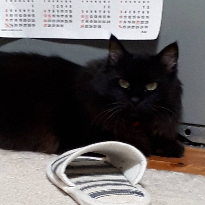 66d3eabe 0be4 4fe0 b542 04a0ee774128 1534334965271