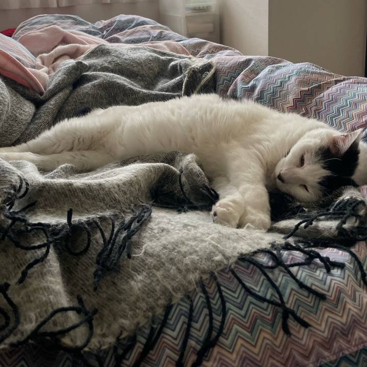 66d40f41 bf30 4b22 b7af d5c36bd8ca83 1650929705664