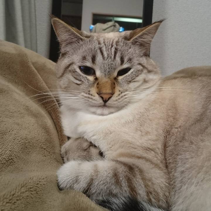 66d45602 424c 47d2 8967 93bdc4b648ed 1510138285412