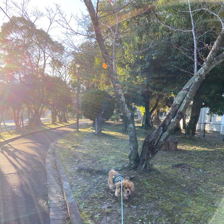 66d45eba b700 4fdc a4da e43345aa5f99 1575159683342