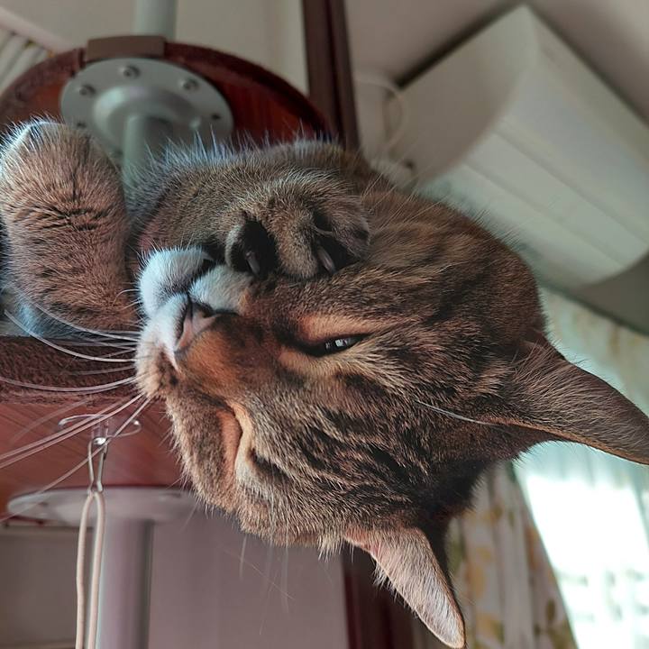 66d47843 ce11 4644 8080 ba0f8ed43c4d 1734741544820