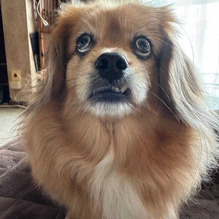 66d48118 6d08 47a1 b3f2 8cbdbbf7990f 1746652490530