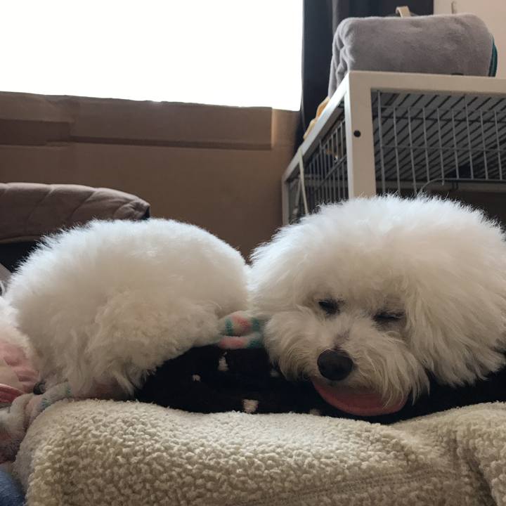 66d48e26 da79 4c1a a4e0 9ee44c02ca79 1552532221868