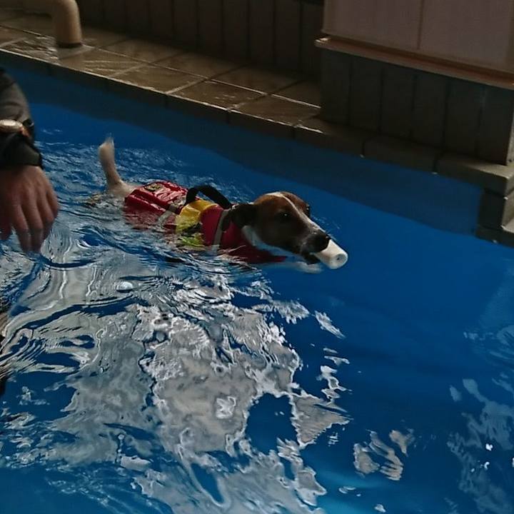 66d4d5ac 9b6c 4aa1 a3f5 6dc569376f8f 1535085921812