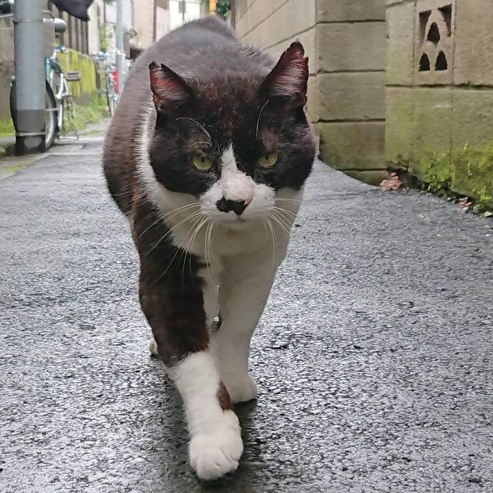 66d4dfa7 fab5 456c b25d c60d91e00839 1631941827007