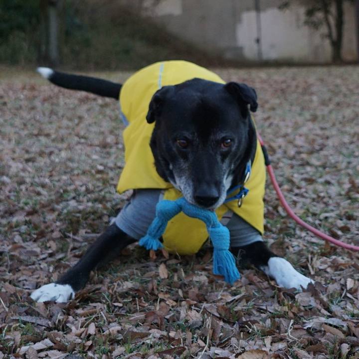 66d4fda7 d5f1 4e56 99ab bcfddadce12d 1768349888545