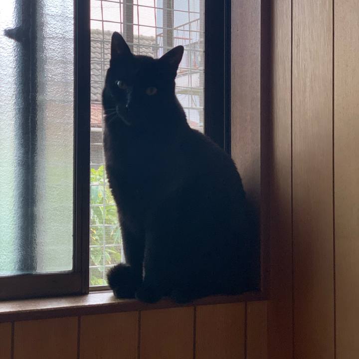 66d5099b a863 4e84 adbd 375464305c41 1589592113303