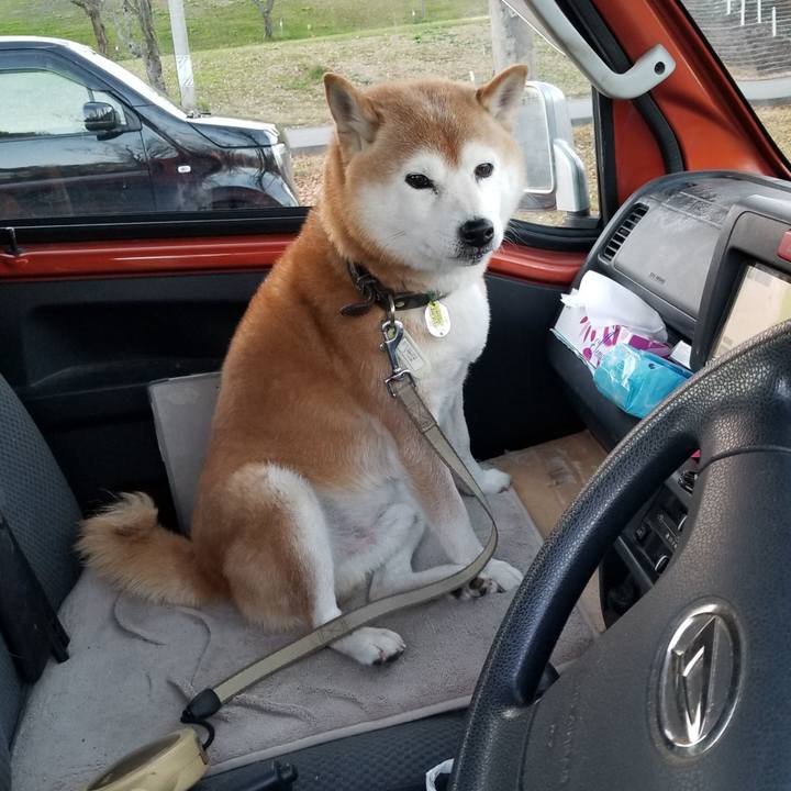 66d54003 29aa 43c4 9f4e 236027cee561 1668410571725