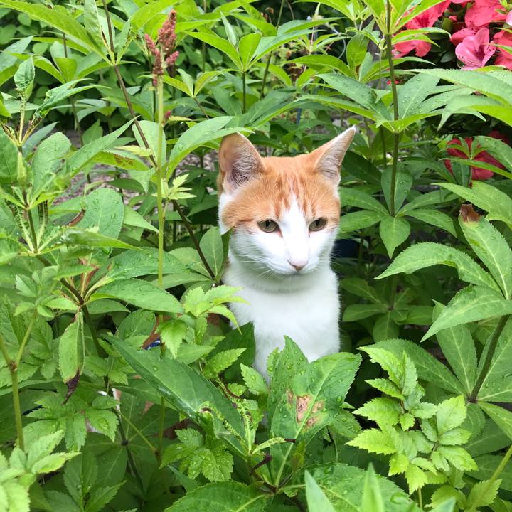 66d5418b 47a9 44d3 9f59 db9c7fcf786c 1527728553463