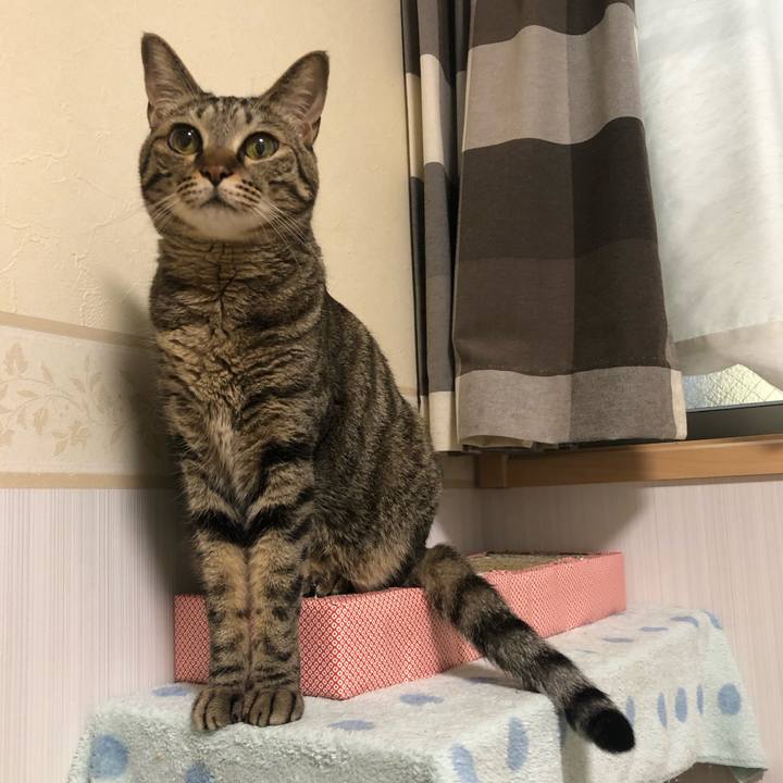 66d54e23 c741 4194 8614 d8cc510e2c9a 1561320667743