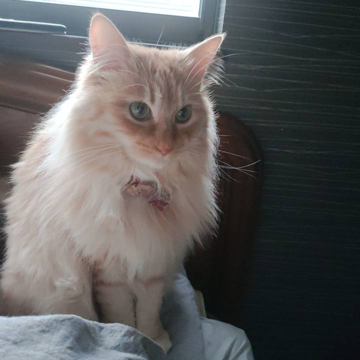 66d59a51 d66f 458e 90eb 96a99594661d 1679608532179