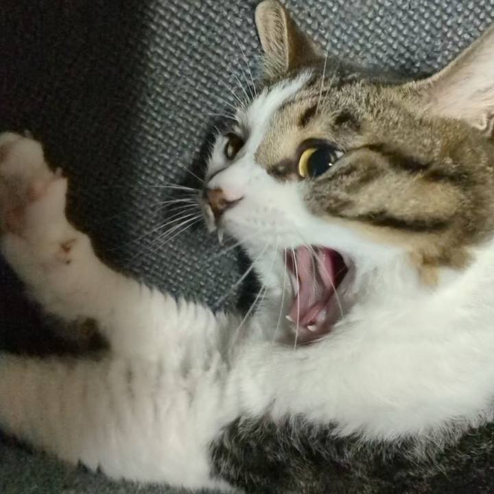 66d5a17b b7ad 4ddb 8f36 7f8e0f187704 1722946876284