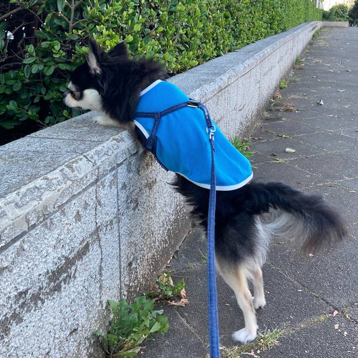 66d5b15b 71c7 483e 97db b30a6ee0b085 1690728843954